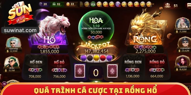 Quá trình cá cược tại Rồng hổ